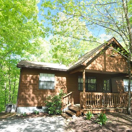 Adalynn'S Mountain Retreat-Hot Tub, 1089 Of Free Tickets For Each Paid Day, Dollywood And More! Піджен-Фордж Екстер'єр фото